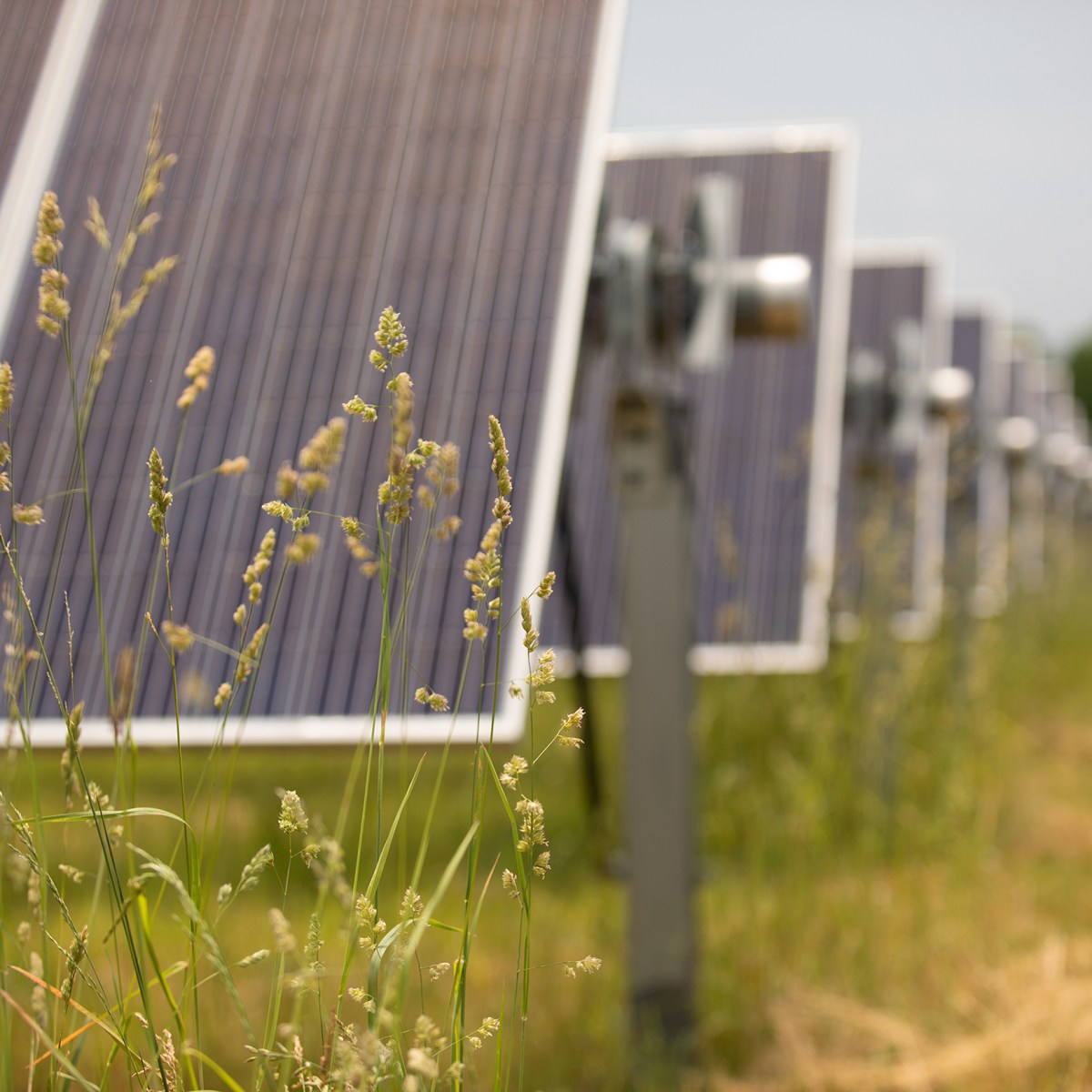 Washington County supervisors look to revisit solar energy regulations; more ...