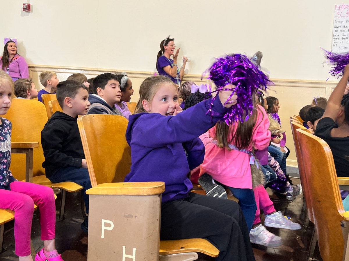 Martinsville school uses spirited competition to encourage attendance