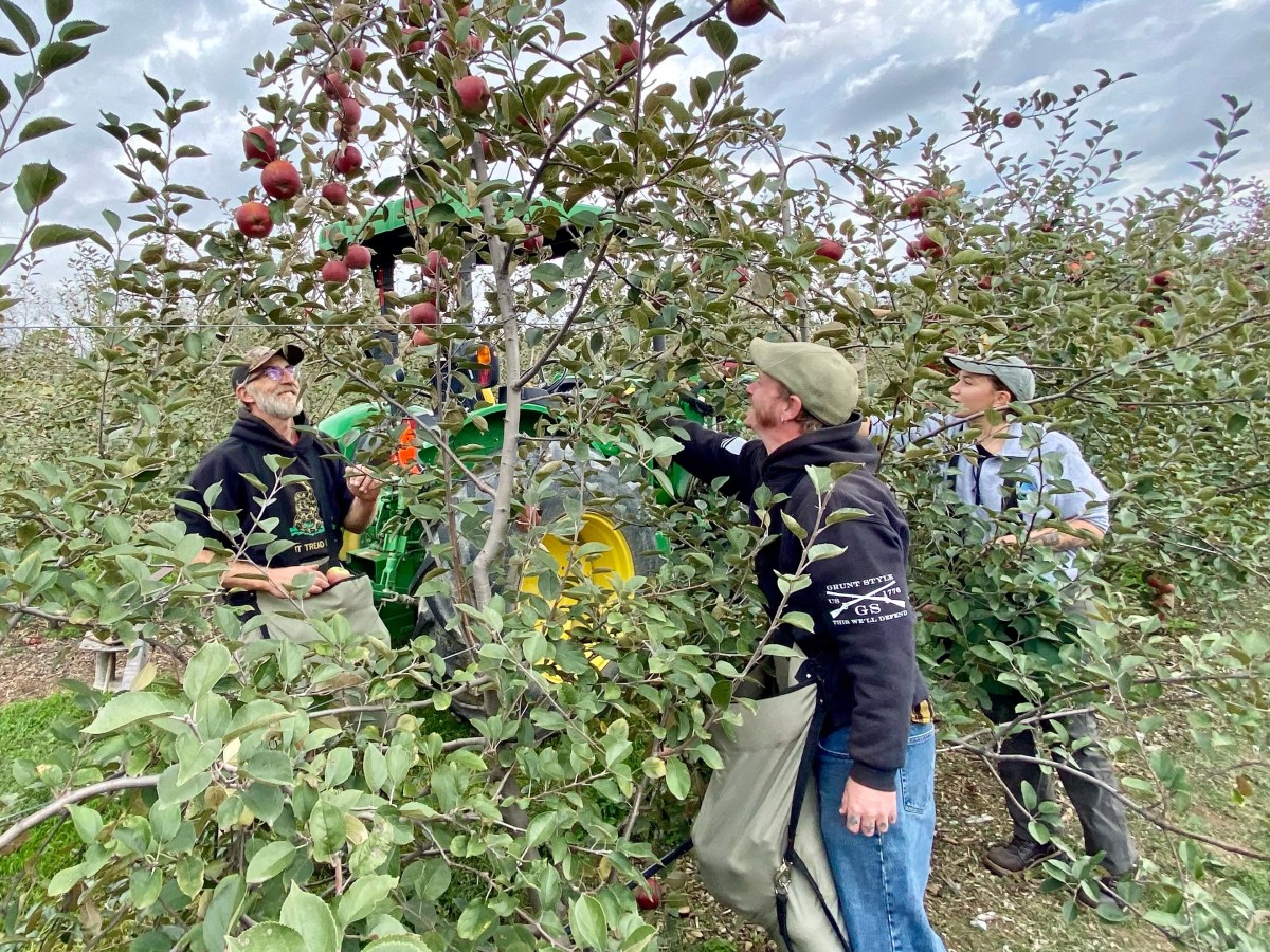 As apple and cherry trees burst with blooms months ahead of schedule, climate experts sound a warning